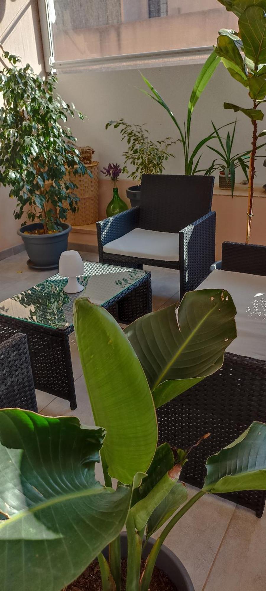 B&B Alghero Reina Buitenkant foto